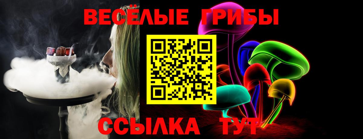 Псилоцибиновые грибы мицелий Кореновск